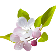 Collab hellospring part3 (7)