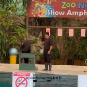 Zoo Negara13