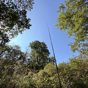 IMG 3490