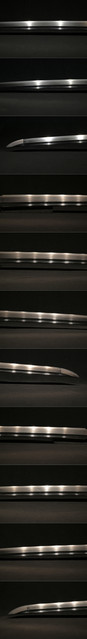 DSC6080.jpg