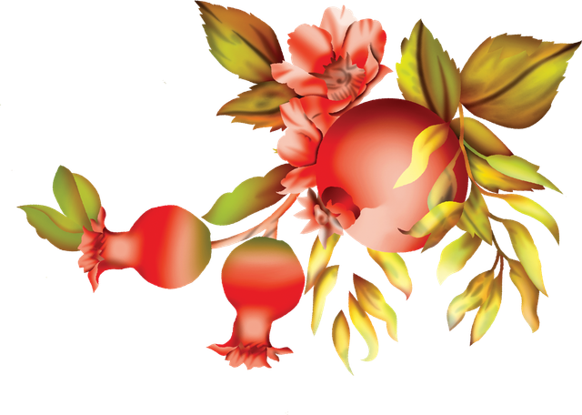Layer 23 (6).png