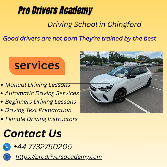 Driving Instructor in Chingford
