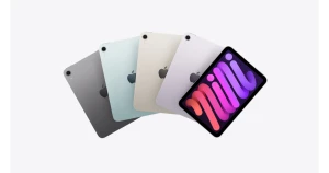 https://i.ibb.co/JWRPL8pt/icon.webp