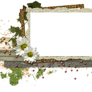 cluster-frame-209