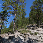 IMG 0373