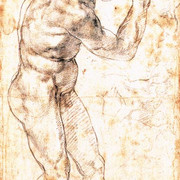 Male Nude