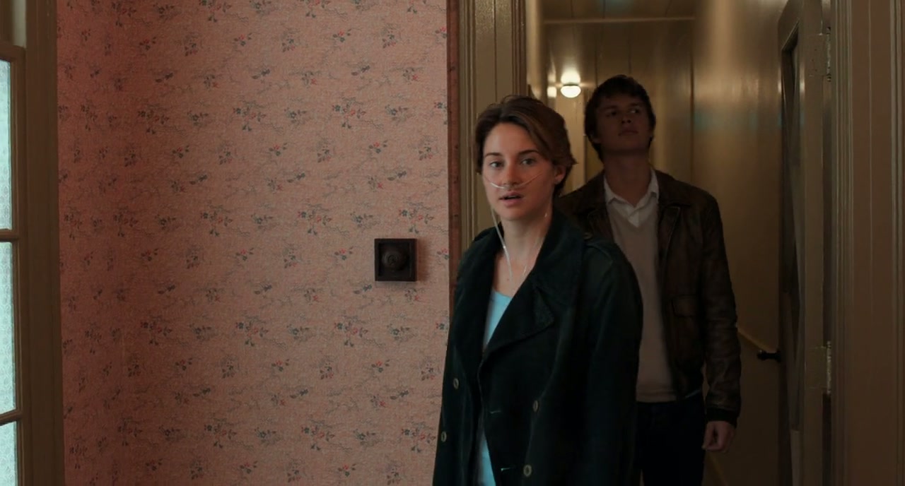 The Fault in Our Stars Screenshot