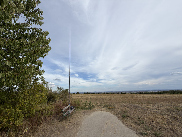 IMG 2674