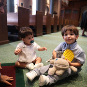IMG 8492