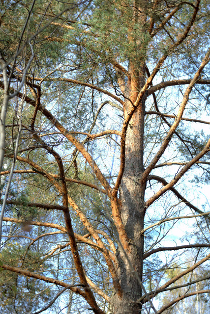 DSC7457-result.jpg