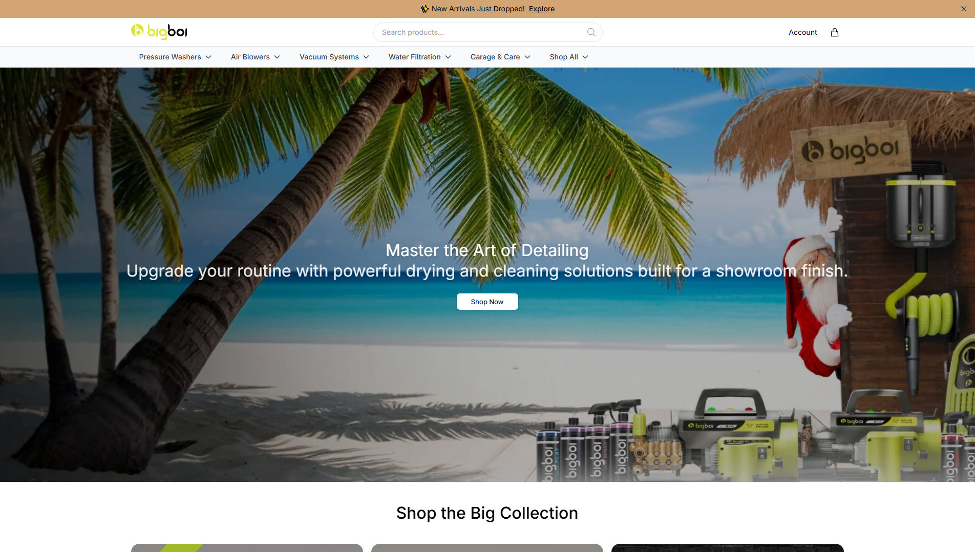 Primary capture · bigboihq.shop