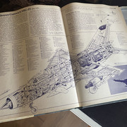 IMG-2264