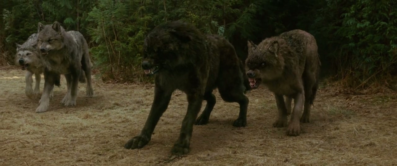 The Twilight Saga: New Moon Screenshot