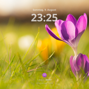 GNOME Spring Flower Lock Screen Mac OS Style 2026 08 09 23 26 03