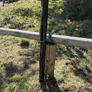 IMG-1504