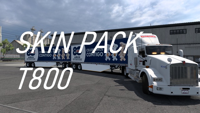 SKIN PACK T800 J91