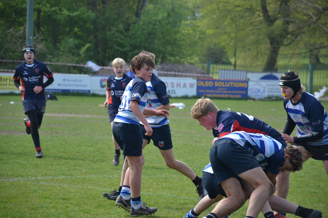DSC 0490.jpg