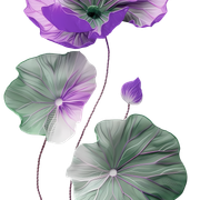 894c7b67dadd5dabbfc332119fd0993d