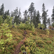 IMG 4871