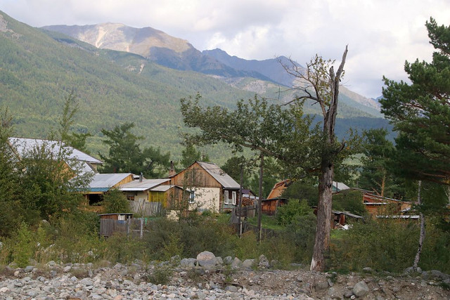 IMG 0523.jpg