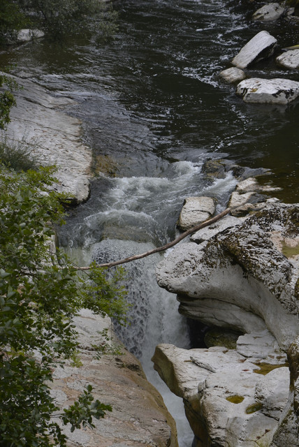 DSC1449.jpg