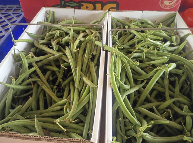 Bulk fresh green beans at DJ's Fresh Market farm stand, Appleton Wisconsin