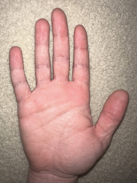 IMG 1815