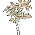 6f19d93cb294c3e429a3bbdf66db0d58