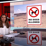 IMG 1699