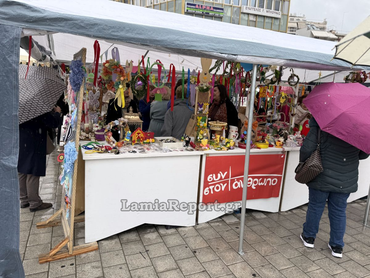 IMG 4614
