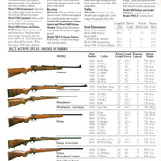 1983SW rifle