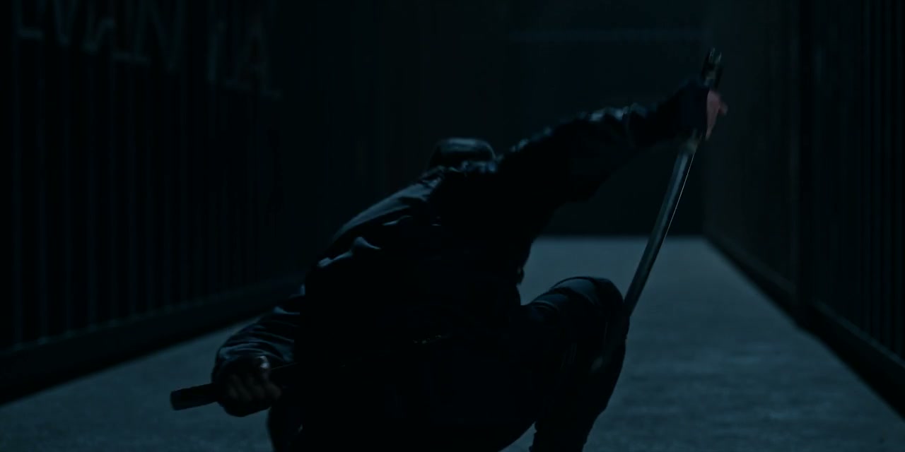 House of Ninjas Screenshot