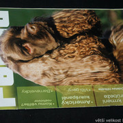 IMG-7720