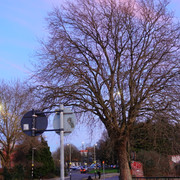 DSC09938