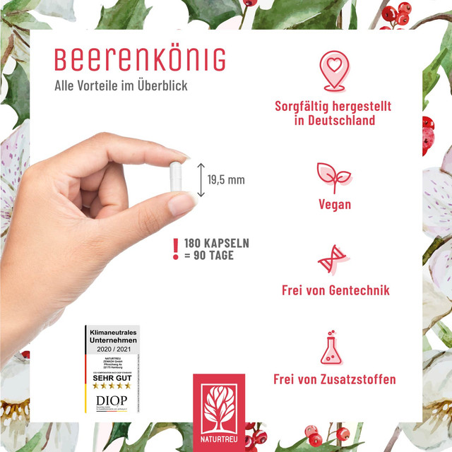 Beerenkoenig-Creative-05.jpg