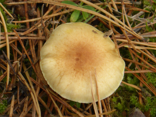 P1130641