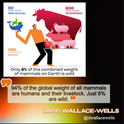 6percentbiomasswildanimalsdavidwallacewells
