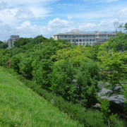 P1330846
