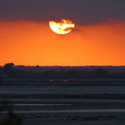 IMG-2780