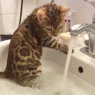 90337ad06f803b40f7abfadfb8f48c6f