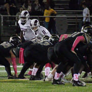 IMG-8430