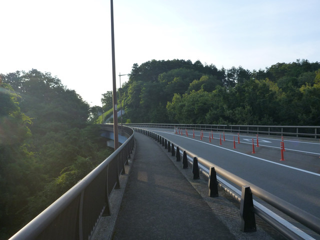 P1340739.jpg