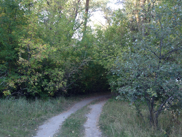 IMG-4176.jpg