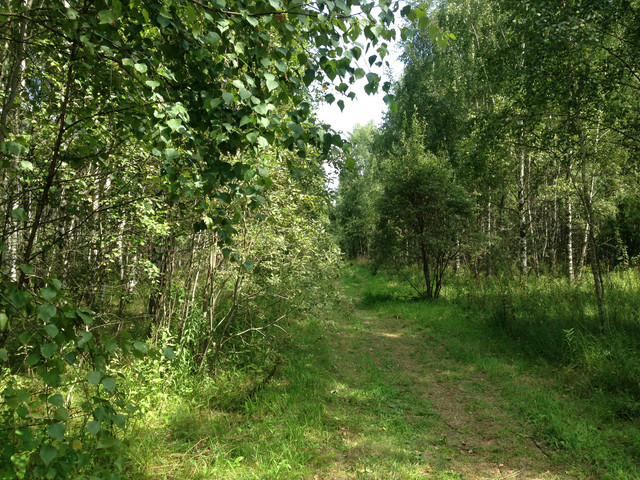 IMG-4037.jpg