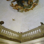 IMG-0418-2