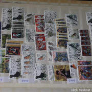 IMG-3720