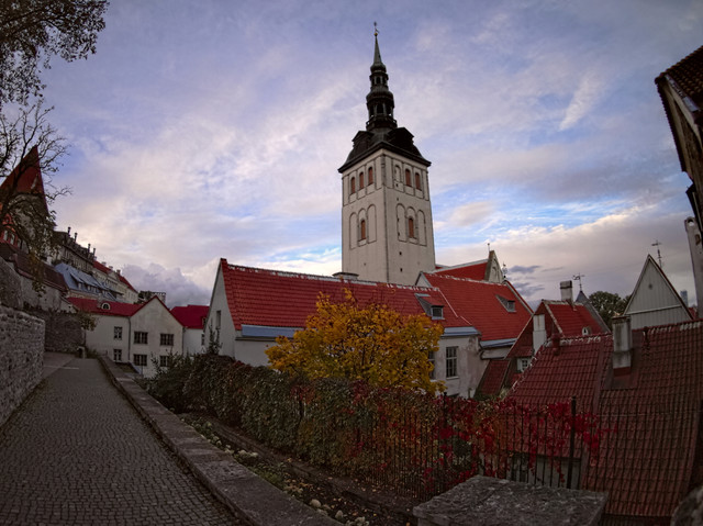 OLYMPUS-DIGITAL-CAMERA.jpg
