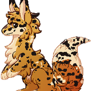 odd-custom-for-barkinqcoyote