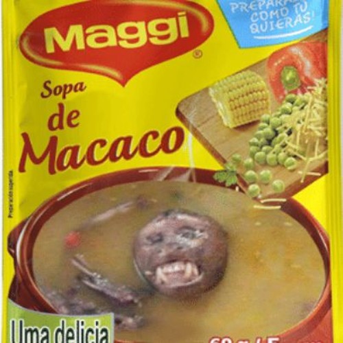 sopa-do-macaco-maggi.jpg