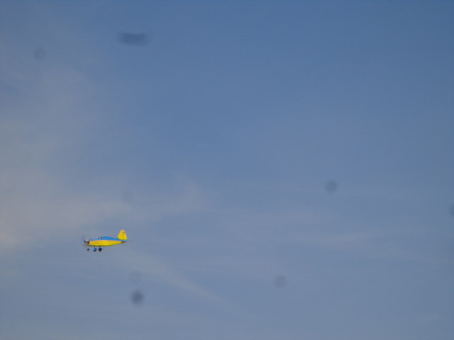 DSC00543.jpg